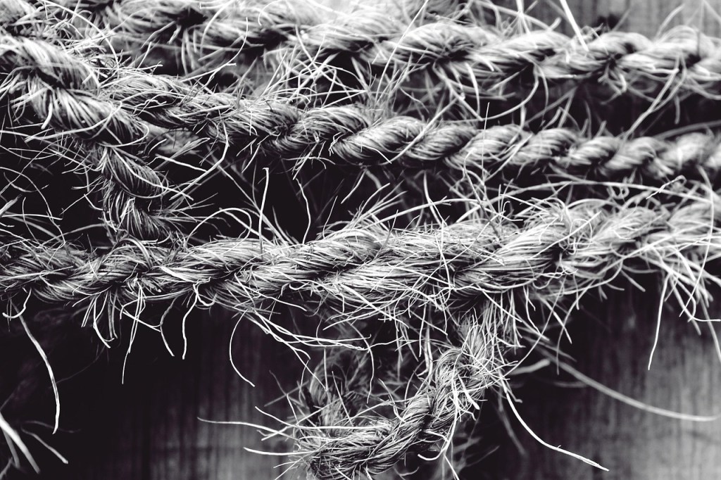Daily Dose of #Poetry – Today’s Poem: History’s Tangle 