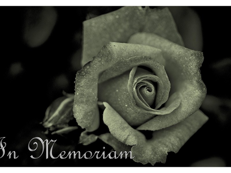 Daily Dose of #Poetry – Today’s Poem: When the First Friend Dies 