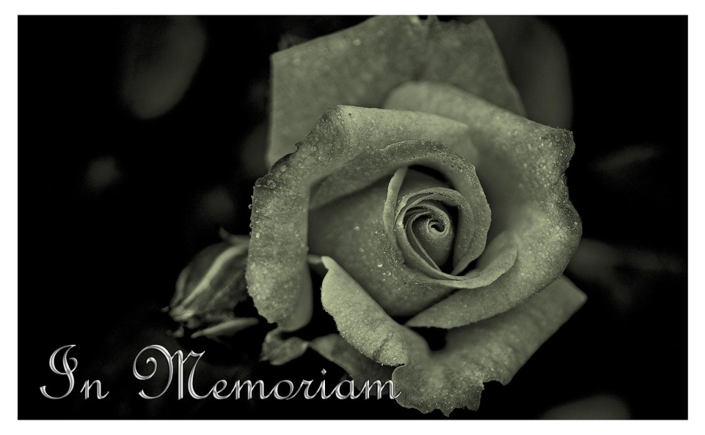 Daily Dose of #Poetry – Today’s Poem: When the First Friend Dies 